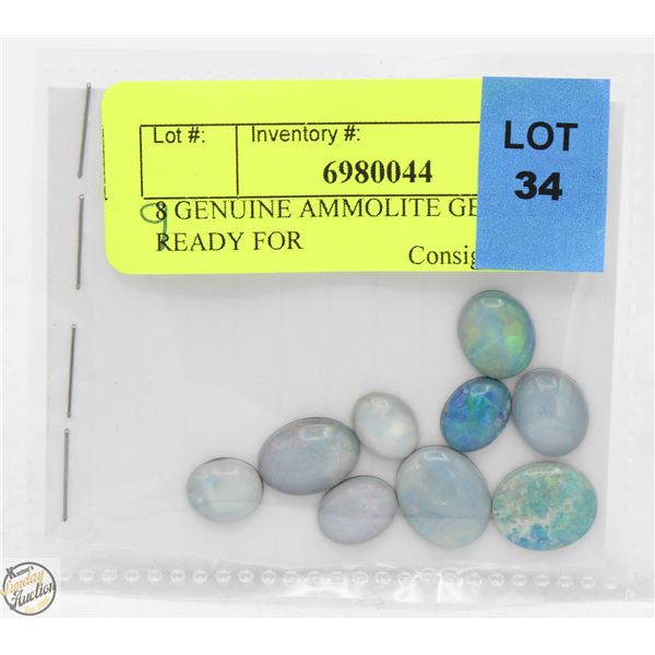 9 GENUINE AMMOLITE GEMSTONES READY FOR SETTING