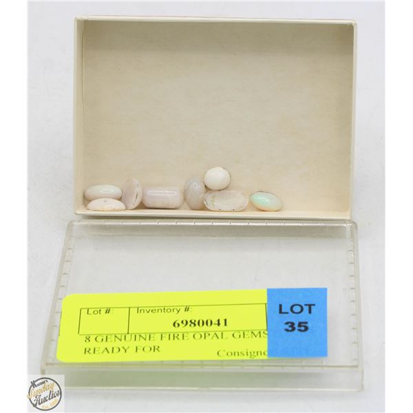 8 GENUINE FIRE OPAL GEMSTONES READY FOR SETTING
