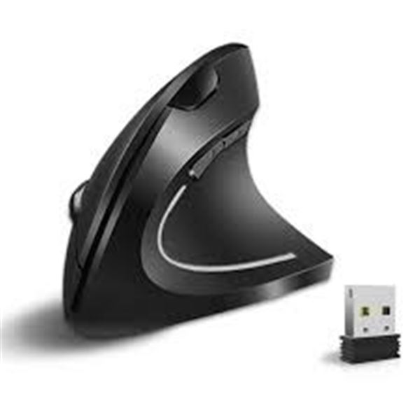 NEW VASSINK ERGONOMIC VERTICAL WIRELESS MOUSE