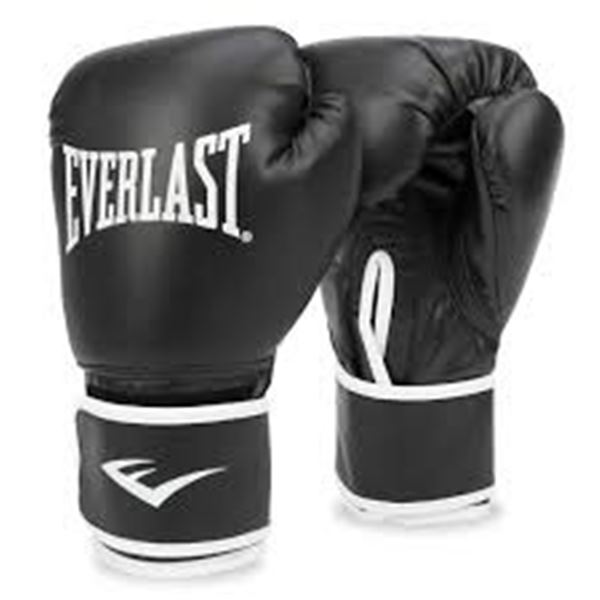 NEW WITH BOX EVERLAST CORE 2 BOXING GLOVES