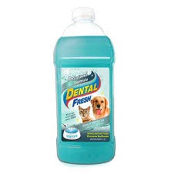NEW 64 OZ ORIGINAL DENTAL FRESH