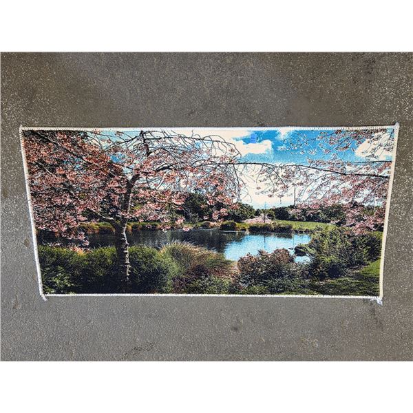 FREIGHT CLAIM RUG 2' X 4'