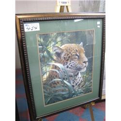 symbol Of Rainforest By Robert Bateman