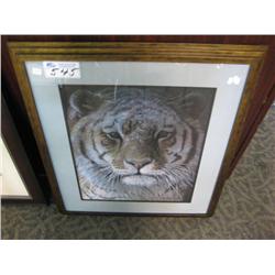 tiger Portrait Print By Robert Bateman