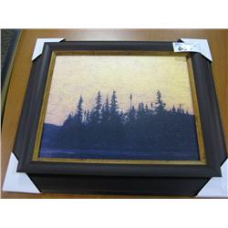 dark Forrest Canvas Print