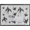 Image 1 : Temporary Tattoos