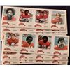 Image 1 : 1981 RED ROOSTER CALGARY STAMPEDERS (CFL) - COMPLETE SET