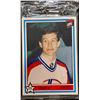 Image 1 : 1990-91 WINDSOR SPITFIRES TEAM SET