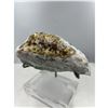 Image 7 : 8 X 7 INCH RARE FORMATION  PURPLE AND GREEN FLUORITE WITH BARITE ON STAND