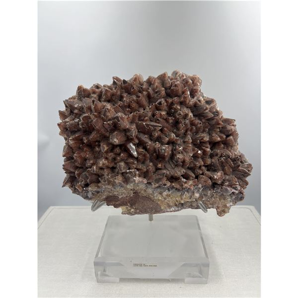 10 X 8 INCH  5 KG DOG THOOT CHOCOLATE CALICTE SPECIMEN