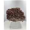 Image 1 : 10 X 8 INCH  5 KG DOG THOOT CHOCOLATE CALICTE SPECIMEN