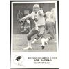 Image 1 : 1981 JOGO CFL JOE PAOPAO (HOF)