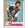 Image 1 : 1974-75 O-PEE-CHEE IAN TURNBULL ROOKIE CARD
