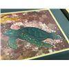 Image 5 : Framed Turtle Art piece - Frame Approx: 21.5x17.5"