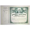 Image 1 : England. France. National Skating Palace Ltd. 1895 Share Certificate.