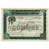 Image 1 : Washington DC. Giant Banana Co., ND (1900 to 1920s), Specimen Stock Certificate.