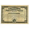 Image 1 : CA. Excelsior Water & Mining Co., 1883, I/U Stock Certificate