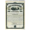 Image 1 : VA. Petersburg Railroad Co. 1881 Specimen Gold Coupon Bond
