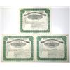Image 1 : WA. Seattle-Tacoma Short Line, 1908 to 1910, I/U Stock Certificate Trio.