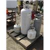 Image 1 : PALLETS OF PROPANE BOTTLES