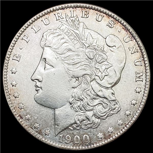 1900-S Morgan Silver Dollar UNCIRCULATED UNCIRCUL