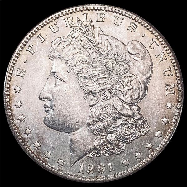 1891 Morgan Silver Dollar UNCIRCULATED UNCIRCULAT