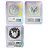 Image 2 : [3]2006 Silver Eagle PR/RP/SP70