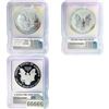 Image 2 : [3]2006 Silver Eagle PR/RP/SP70