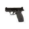 Image 1 : S&W BDYGRD 2.0 380ACP 2.75" 12RD TS