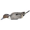 Image 1 : AVIAN X POWER SHAKER PINTAIL SURFACE FEEDER DECOY