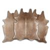 Image 1 : Brazilian Caramel Hair-On Cowhide