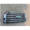 Image 1 : 2016 Ford F150 Grill