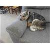 Image 4 : Comfy Couch - Louis Fav 