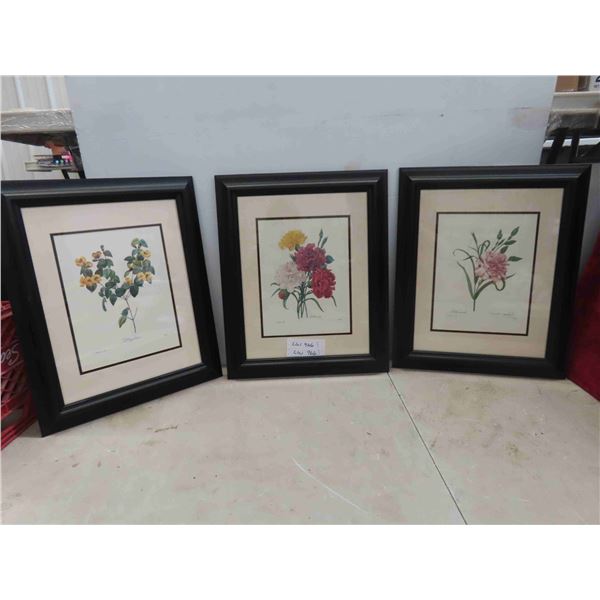 3 Framed Flower Pictures 18'' x 22'' 