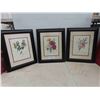 Image 1 : 3 Framed Flower Pictures 18'' x 22'' 