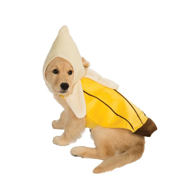 NEW BANANA PET COSTUME XL