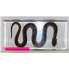 Image 1 : REAL BUG SNAKE