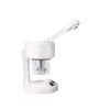 Image 1 : NEW STEAM BEAUTY DT-03 ION VAPOUR STEAMER