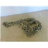 Image 2 : (5) 8ft Chains with 2 Hooks Each 
