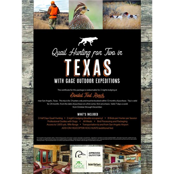 Texas Quail Hunt for 2