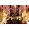Image 3 : Rockefeller Center Tree Lighting Festivites