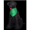 Image 1 : Inflatable Black Lab