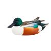 Image 1 : Northern Shoveler Decoy