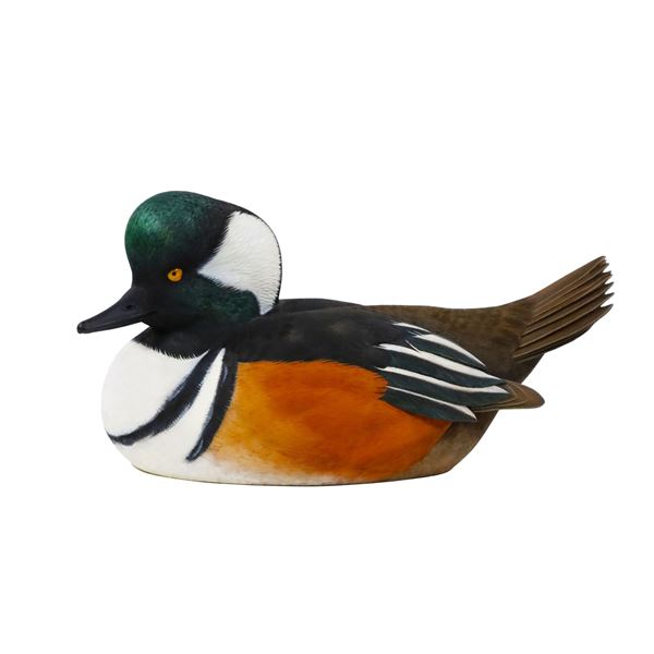 Hooded Merganser Decoy