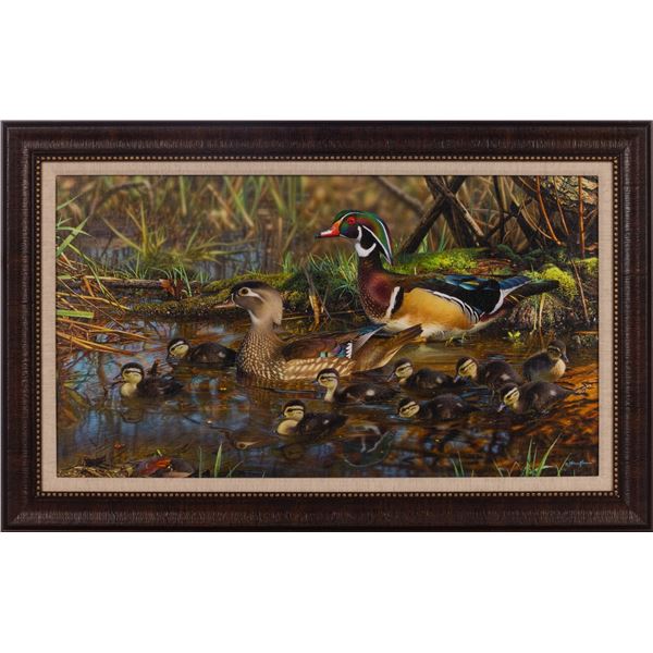 “Wood Duck Sanctuary”