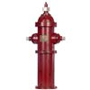 Image 1 : Fire Hydrant