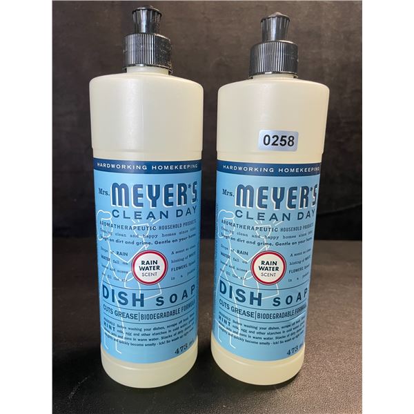 2 Meyer's Clean Day Dish Soap (473ml) Rain Water Scent - New