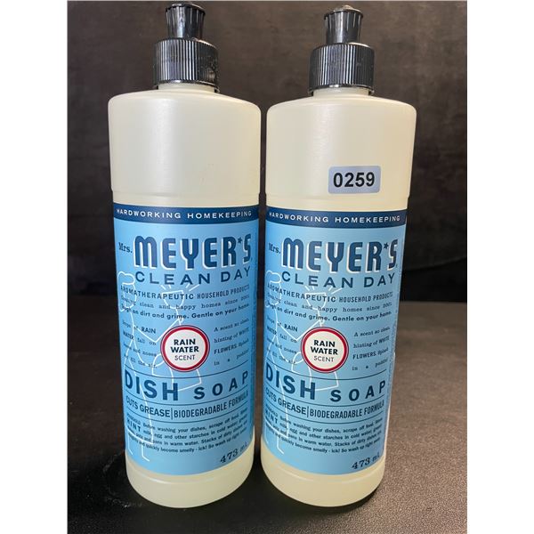 2 Meyer's Clean Day Dish Soap (473ml) Rain Water Scent - New