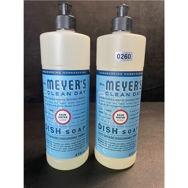 2 Meyer's Clean Day Dish Soap (473ml) Rain Water Scent - New