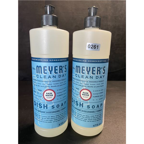 2 Meyer's Clean Day Dish Soap (473ml) Rain Water Scent - New